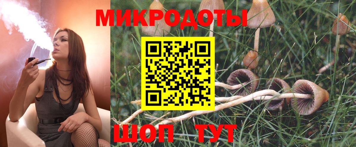 Великий Новгород  Псилоцибиновые грибы мицелий  Галлюциногенные грибы Psilocybine cubensis  Вход с VPN 