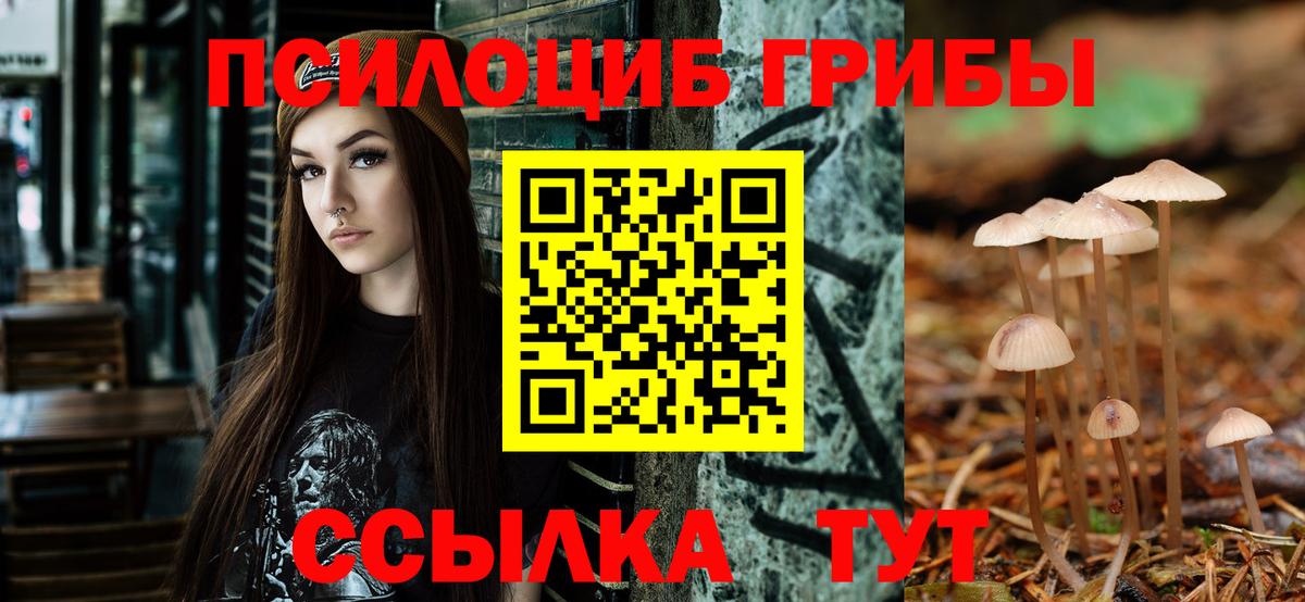 Галлюциногенные грибы Psilocybe Великий Новгород