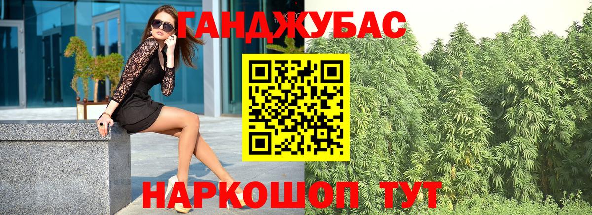Конопля гибрид Великий Новгород